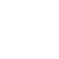 Humanoid robot